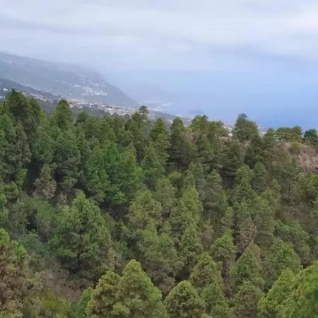 Extraordinaria Experiencia En Casa Colgada Con Preciosas Vistas Al Mar *